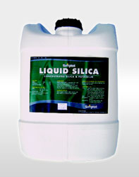 리퀴드 실리카(Liquid Silica)