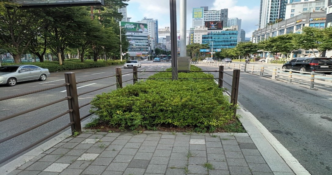 송상현광장-범내골 관목전정 전