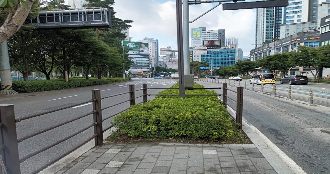 송상현광장-범내골 관목전정 후