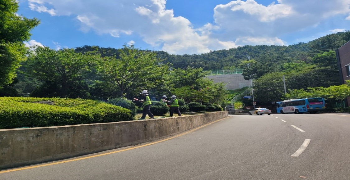 백양터널 관목전정 중1