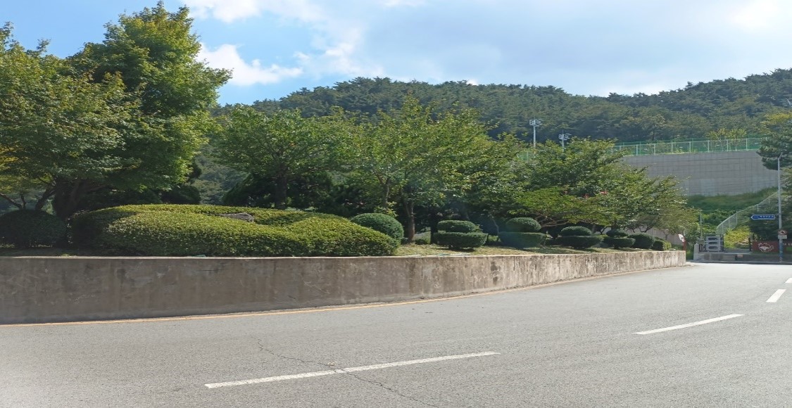 백양터널 관목전정 후1