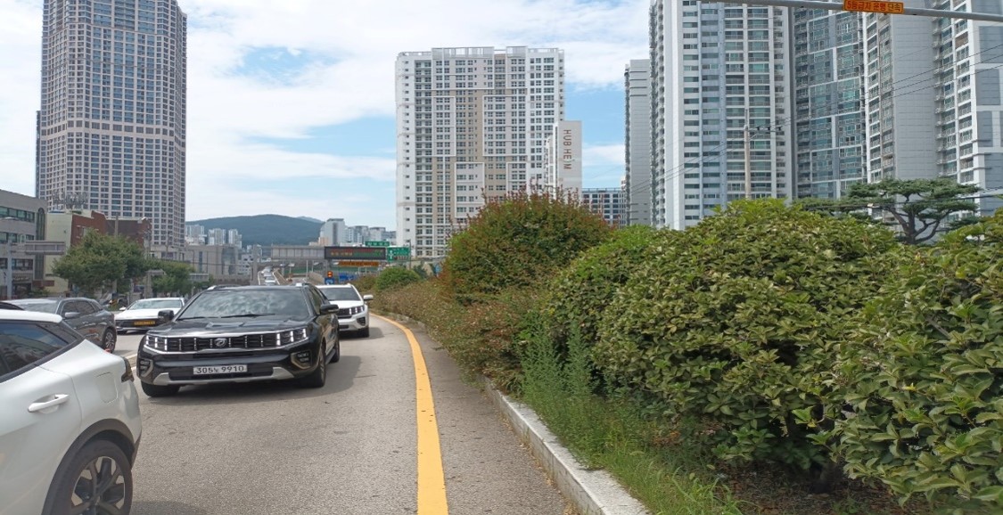 황령터널입구 관목전정 전