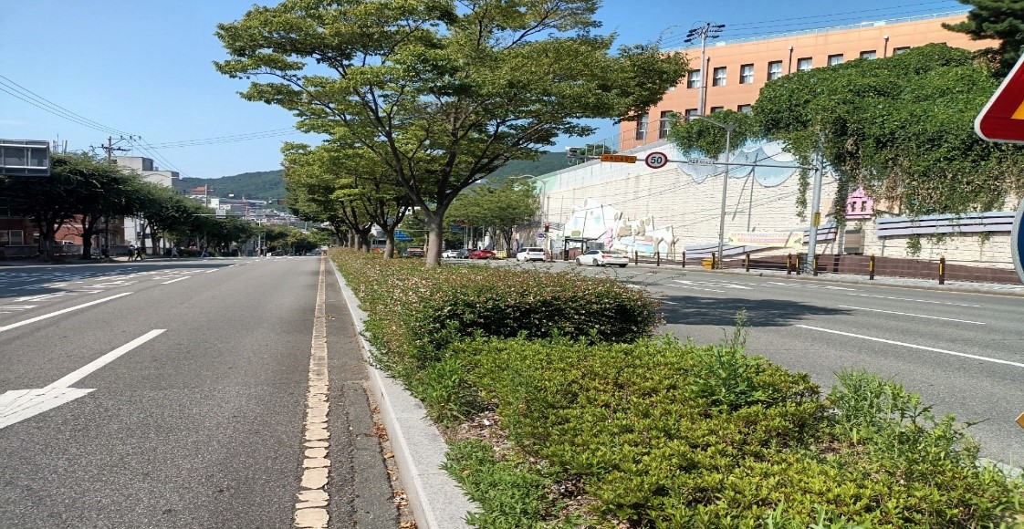 아시아드대로 관목전정 전