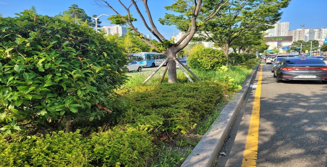 동평로 관목전정 전