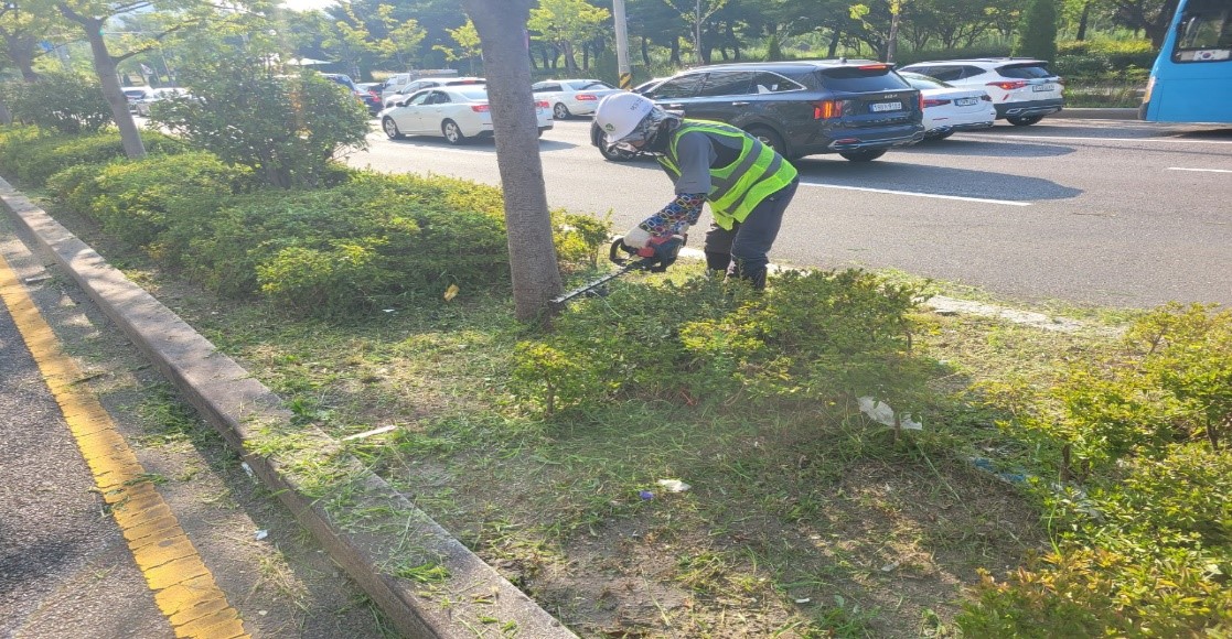 동평로 관목전정 중