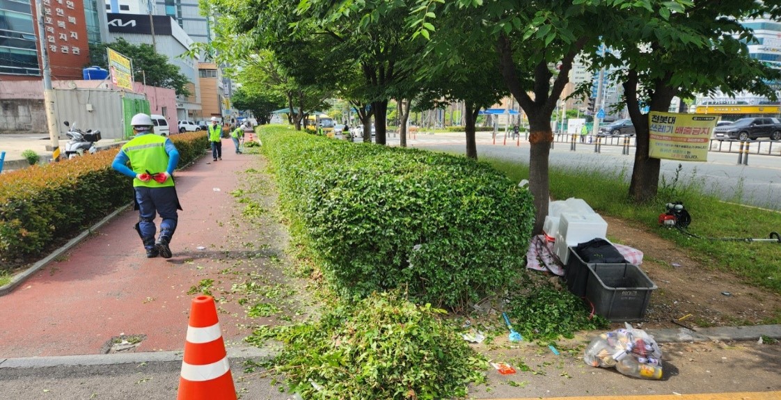 중앙대로 관목전정 중