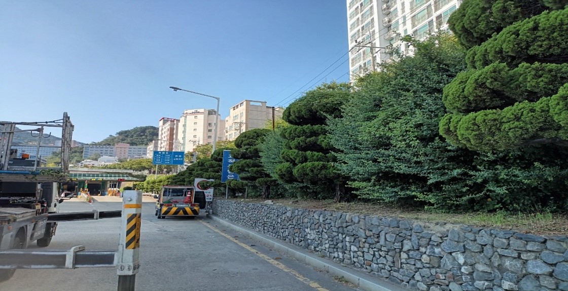 수정터널 관목전정 전