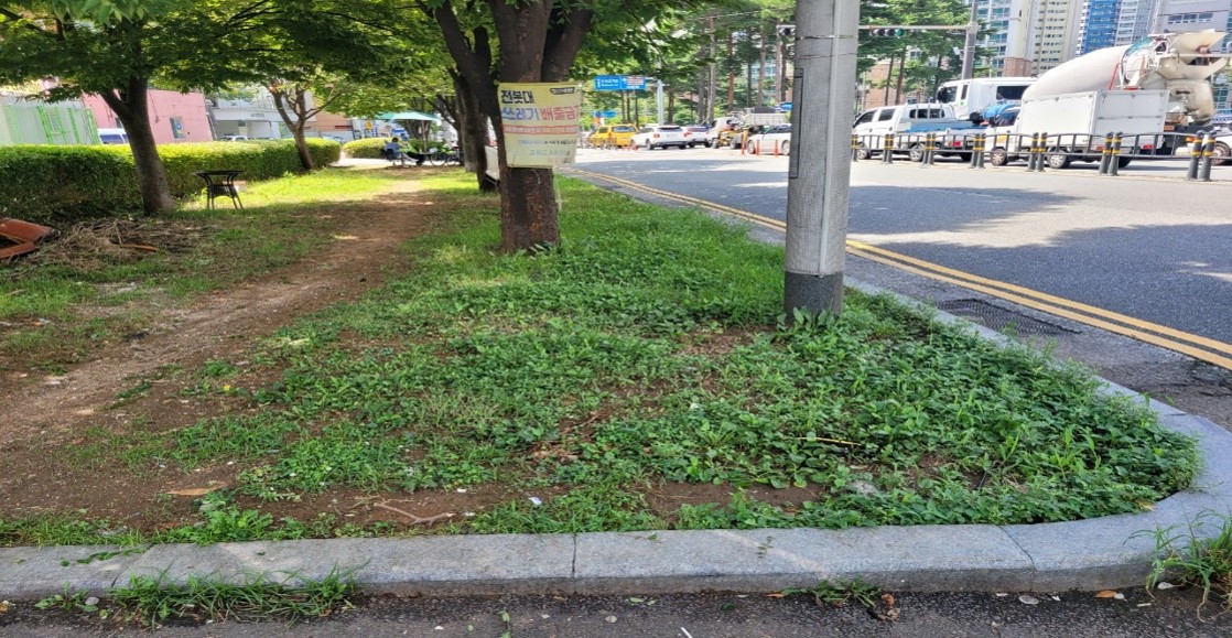 삼전교차로 부근 예초 및 제초 전