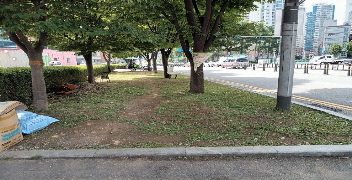 삼전교차로 부근 예초 및 제초 후