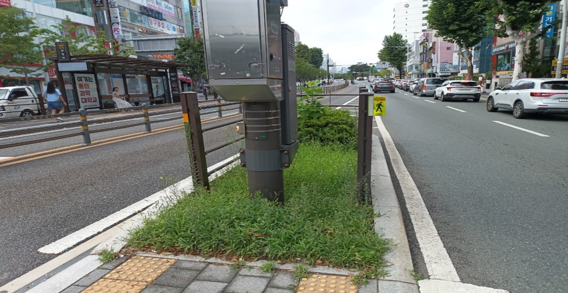 양정역 예초 및 제초 전