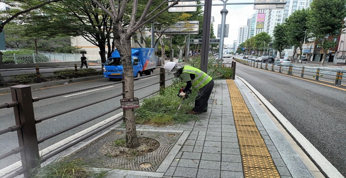 상수도사업본부 예초 및 제초 중
