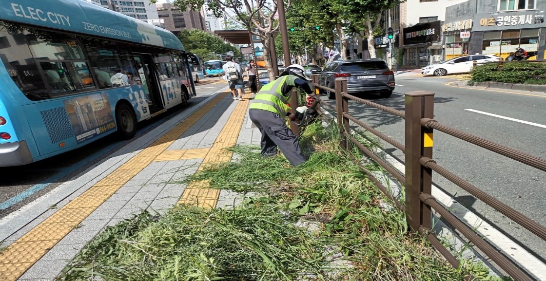 상수도사업본부 예초 및 제초 중1