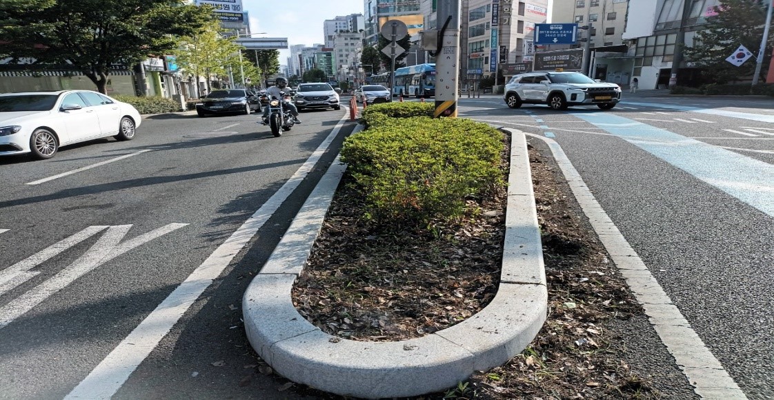 송상현광장-범내골 예초 및 제초 후