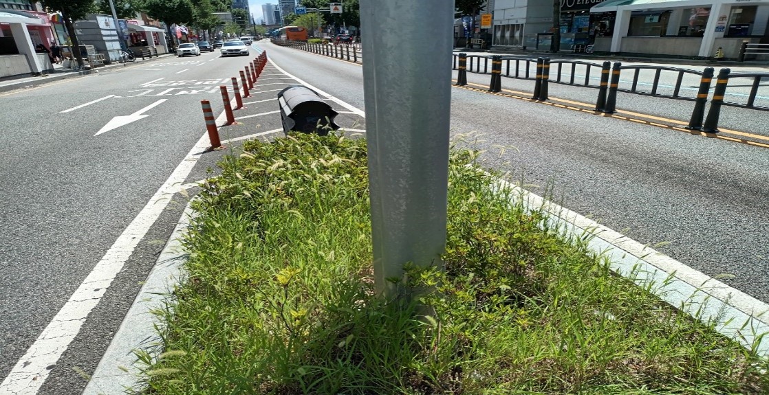 송상현광장-범내골 예초 및 제초 전1