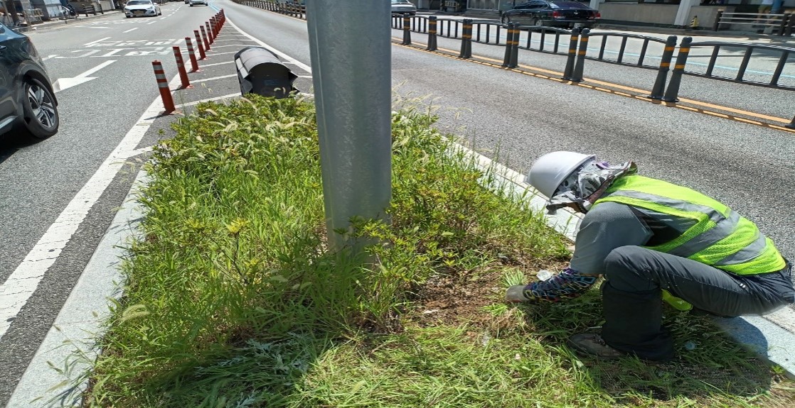 송상현광장-범내골 예초 및 제초 중1