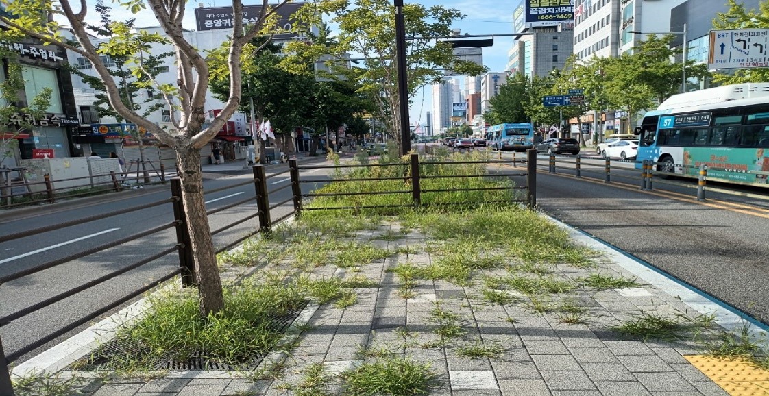 중앙시장 예초 및 제초 전