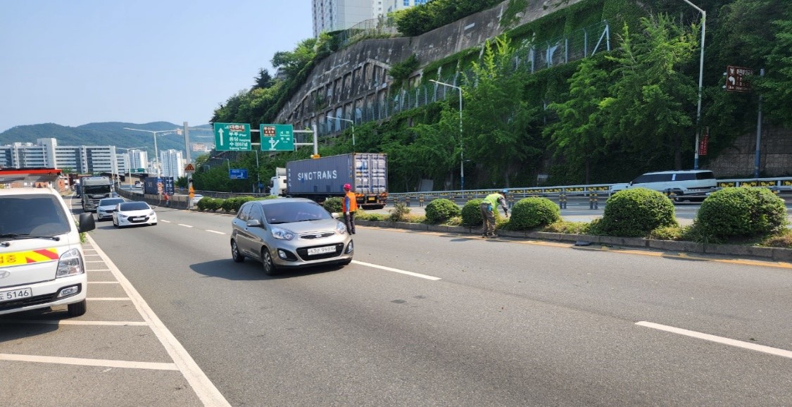 백양관문로 예초 및 제초 중