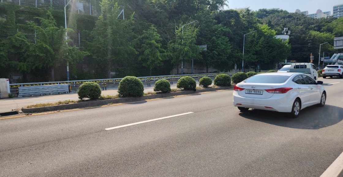 백양관문로 예초 및 제초 후