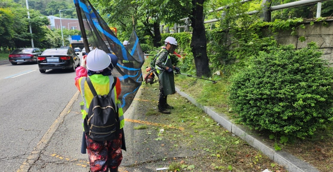 백양터널 예초 및 제초 중