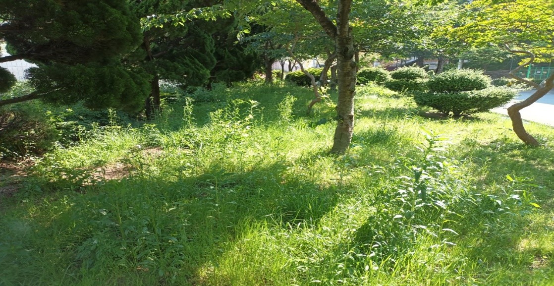 백양터널 예초 및 제초 전2