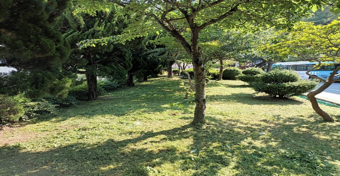 백양터널 예초 및 제초 후2