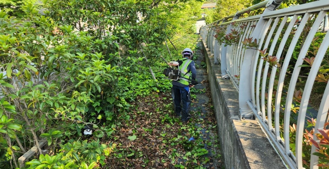 수정터널 예초 및 제초 중1