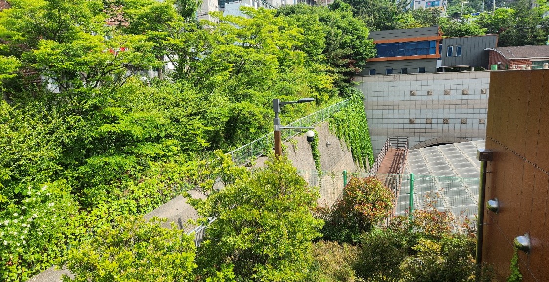 수정터널 예초 및 제초 전2