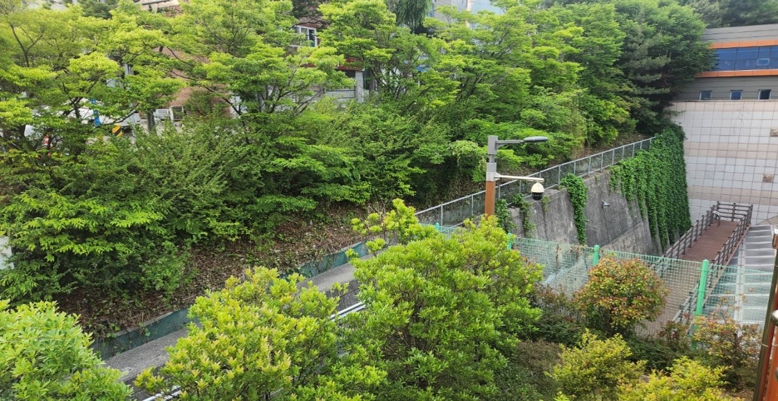 수정터널 예초 및 제초 후2