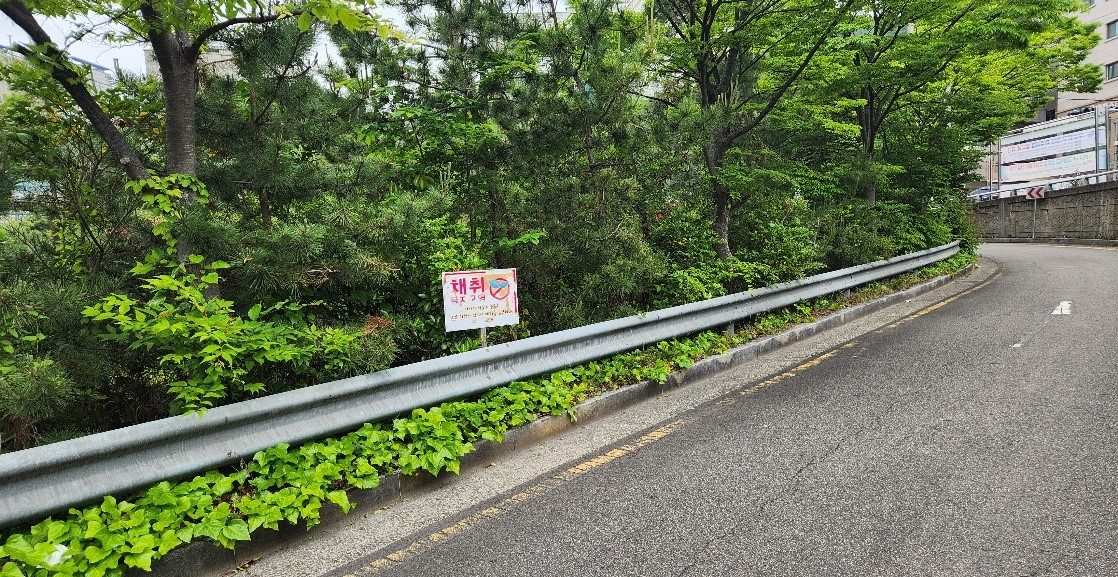 수정터널 예초 및 제초 전3