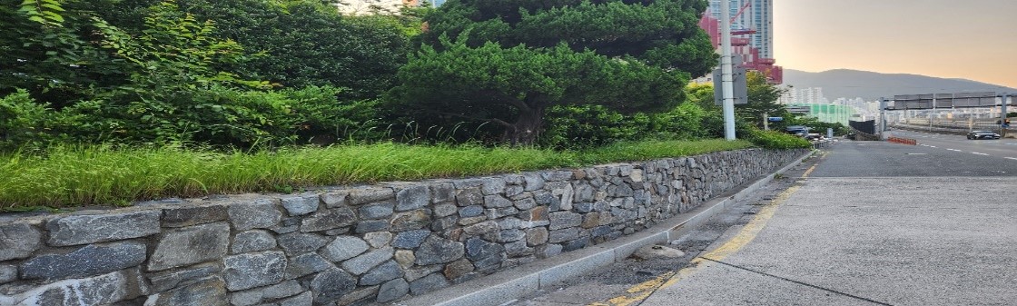 수정터널 예초 및 제초 전4