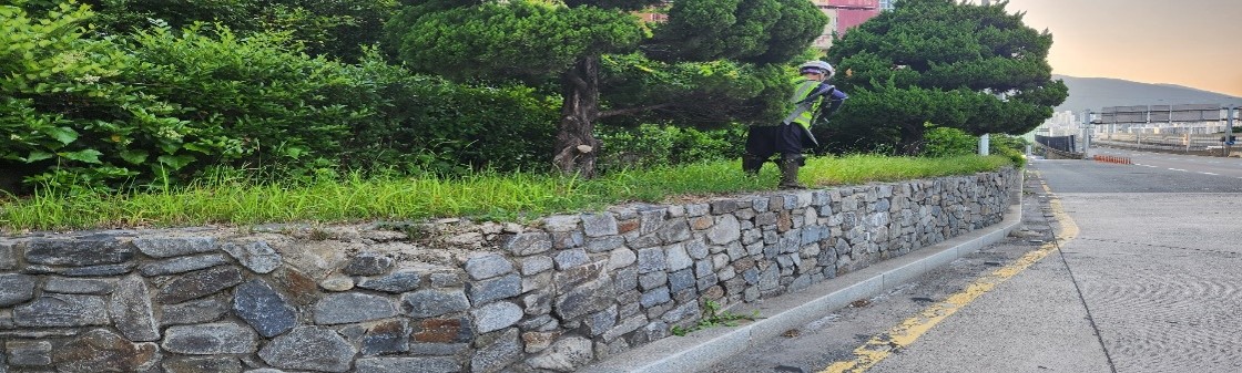 수정터널 예초 및 제초 중4