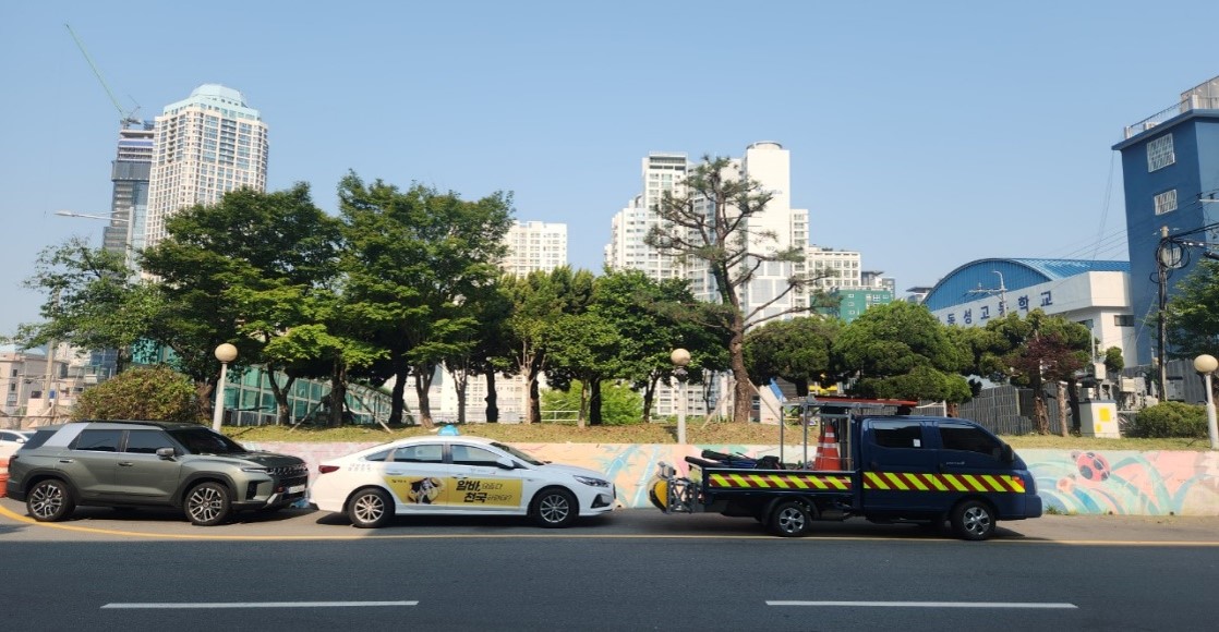 황령터널 회차로 가로수 약전정 후