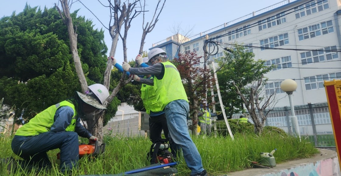 황령터널 회차로 고사목제거 중