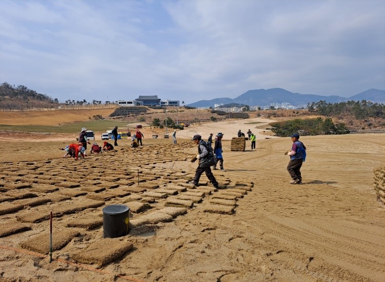 6. 잔디식재3