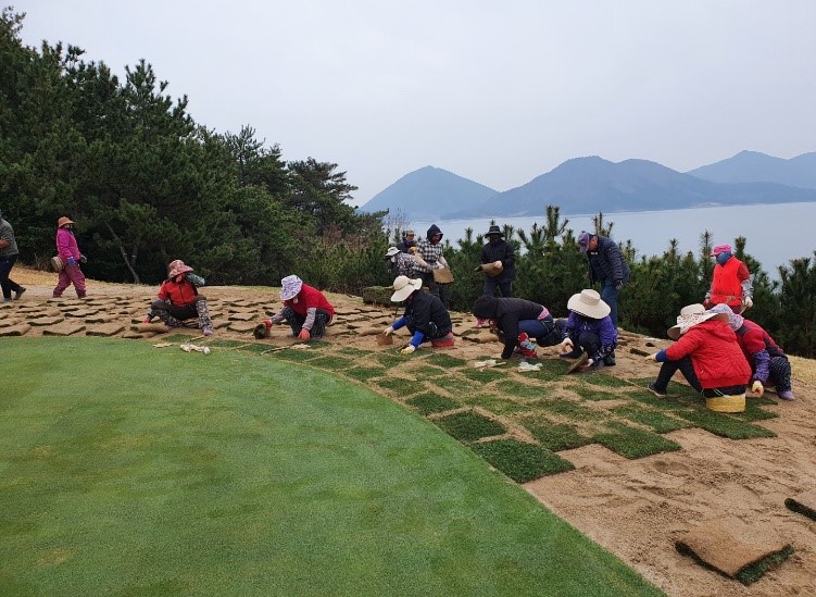 6. 잔디식재12
