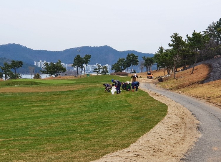 7. 잔디관리 비료 살포 및 재석작업2