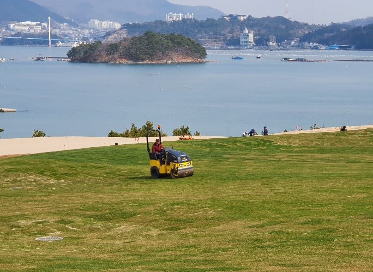 7. 잔디관리 잔디 식재면 롤링 작업2