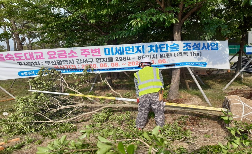 먼나무 입고 후 치수측정