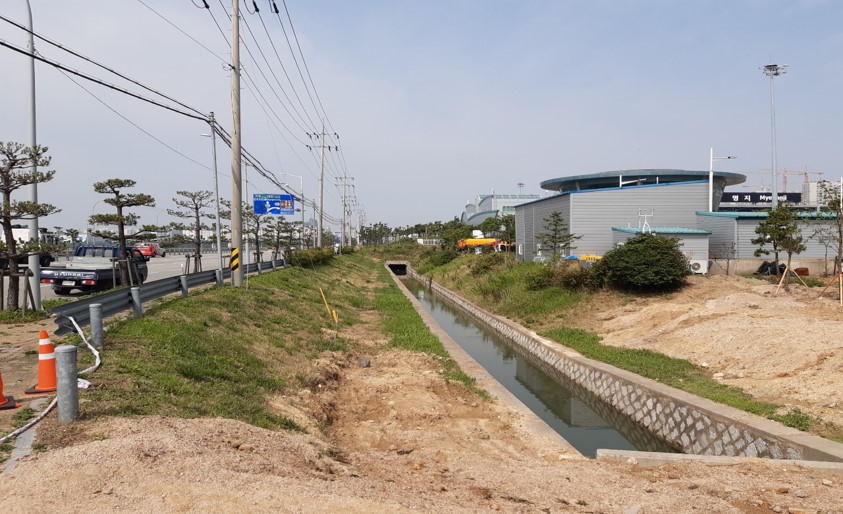 B구역 이팝나무 식재 전