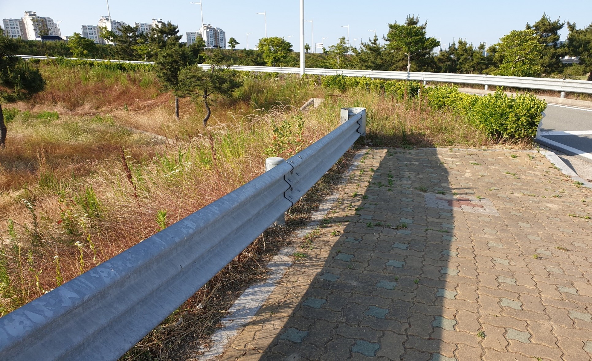 B구역 휀스 철거 전