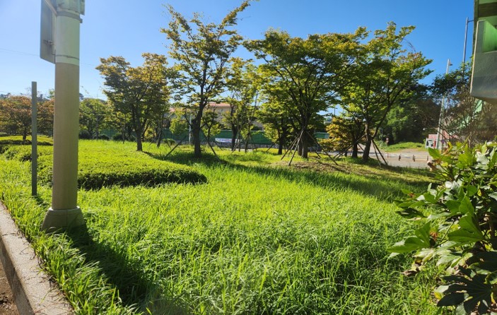 강서초등학교 예초 작업 전