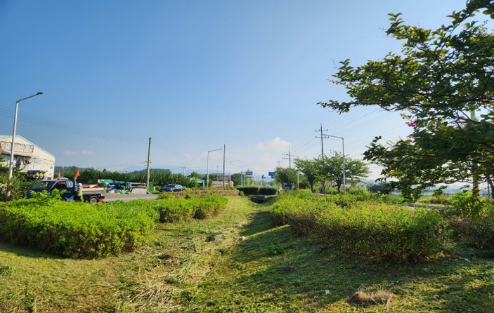 부산소프트웨어고등학교 교통섬 작업 전