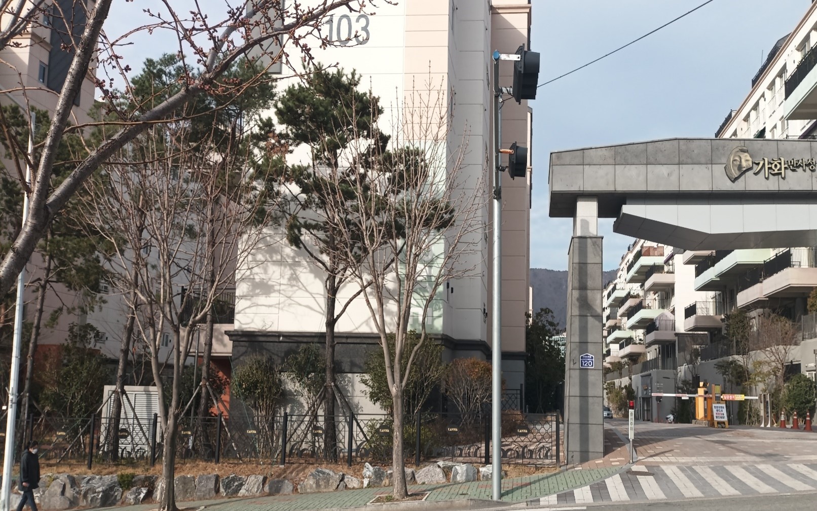 칠엽수 굴취전