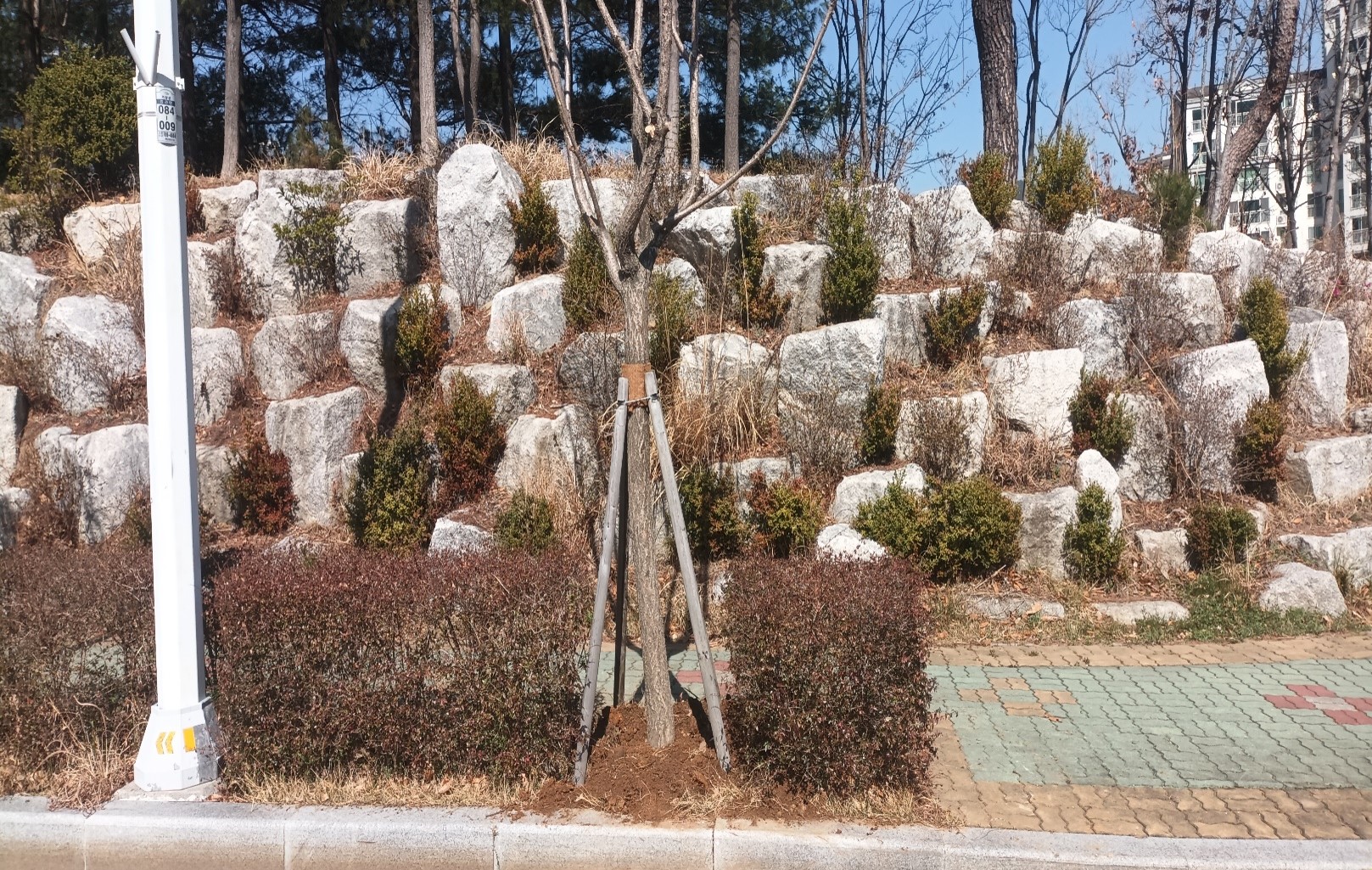 이식후