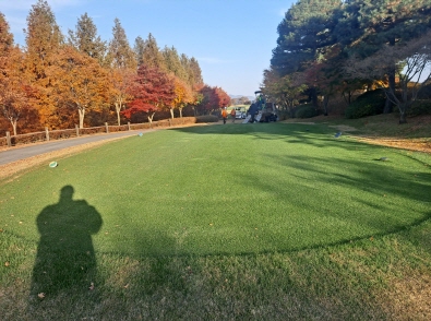 작업중 (5)