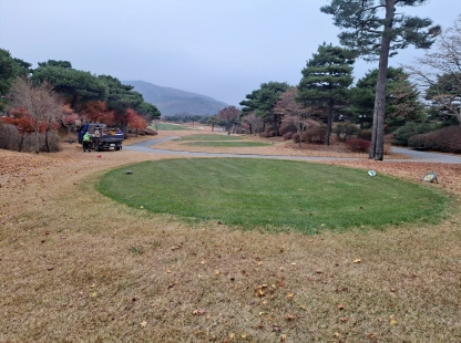 작업중 (20)