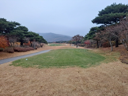 작업중 (21)
