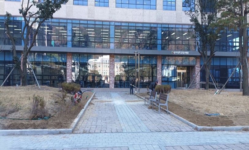 관목식재 백철쭉 중