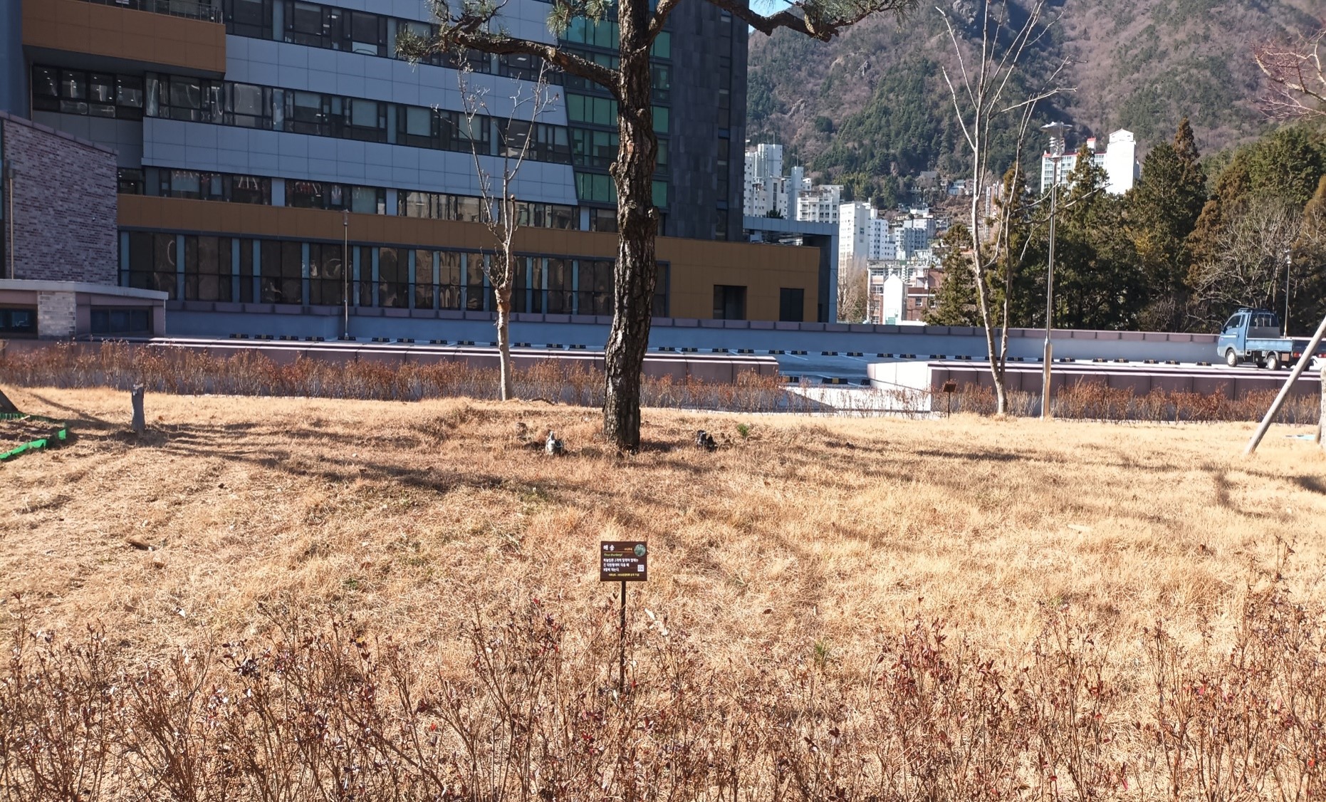 수목표찰 설치 후