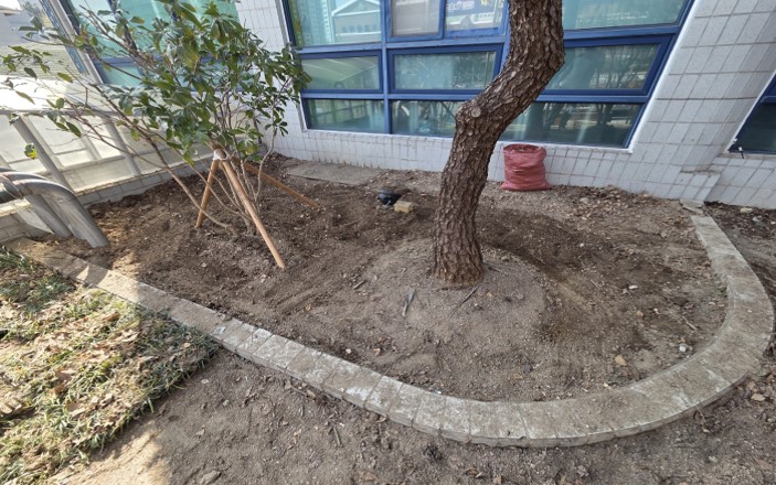 맥문동 식재 전